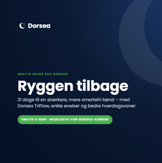 E-Guide Ryggen Tilbage