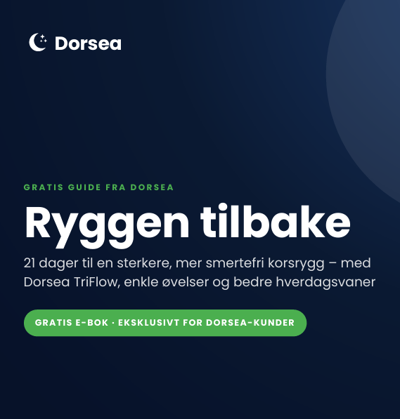 E-Guide Ryggen tilbake