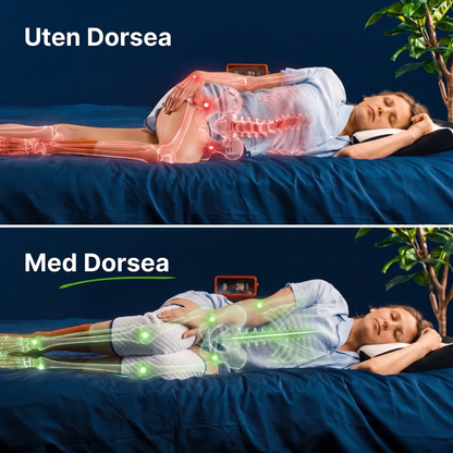 Dorsea kneputen